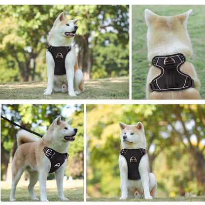 No Pull Dog Harness No Choke Easy Control Handle Reflective Pet Harness 2 Leash Clips Adjustable Soft Padded Dog Vest